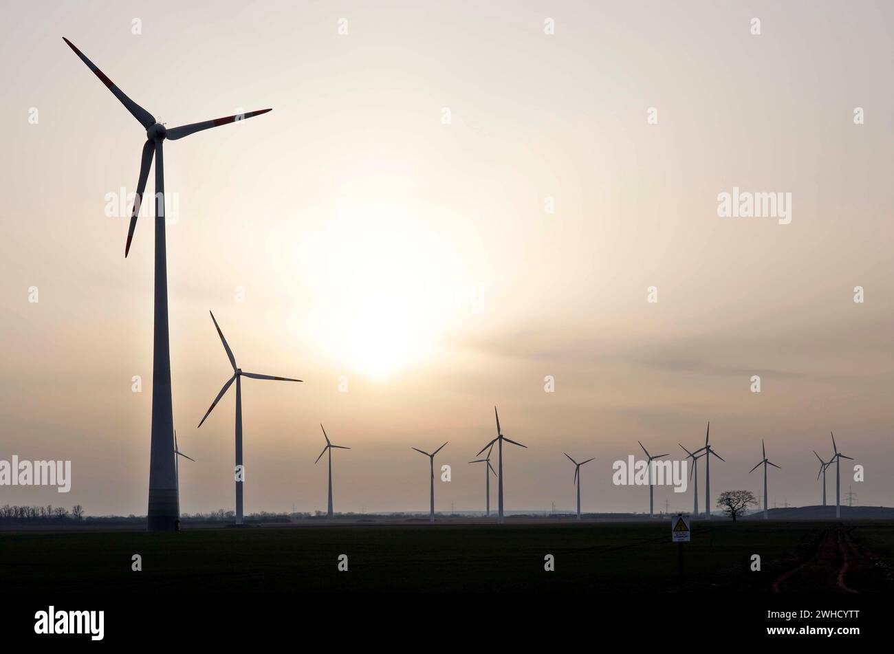 Windmühlen in einem Windpark, Nauen, 03/03/2021 Stockfoto