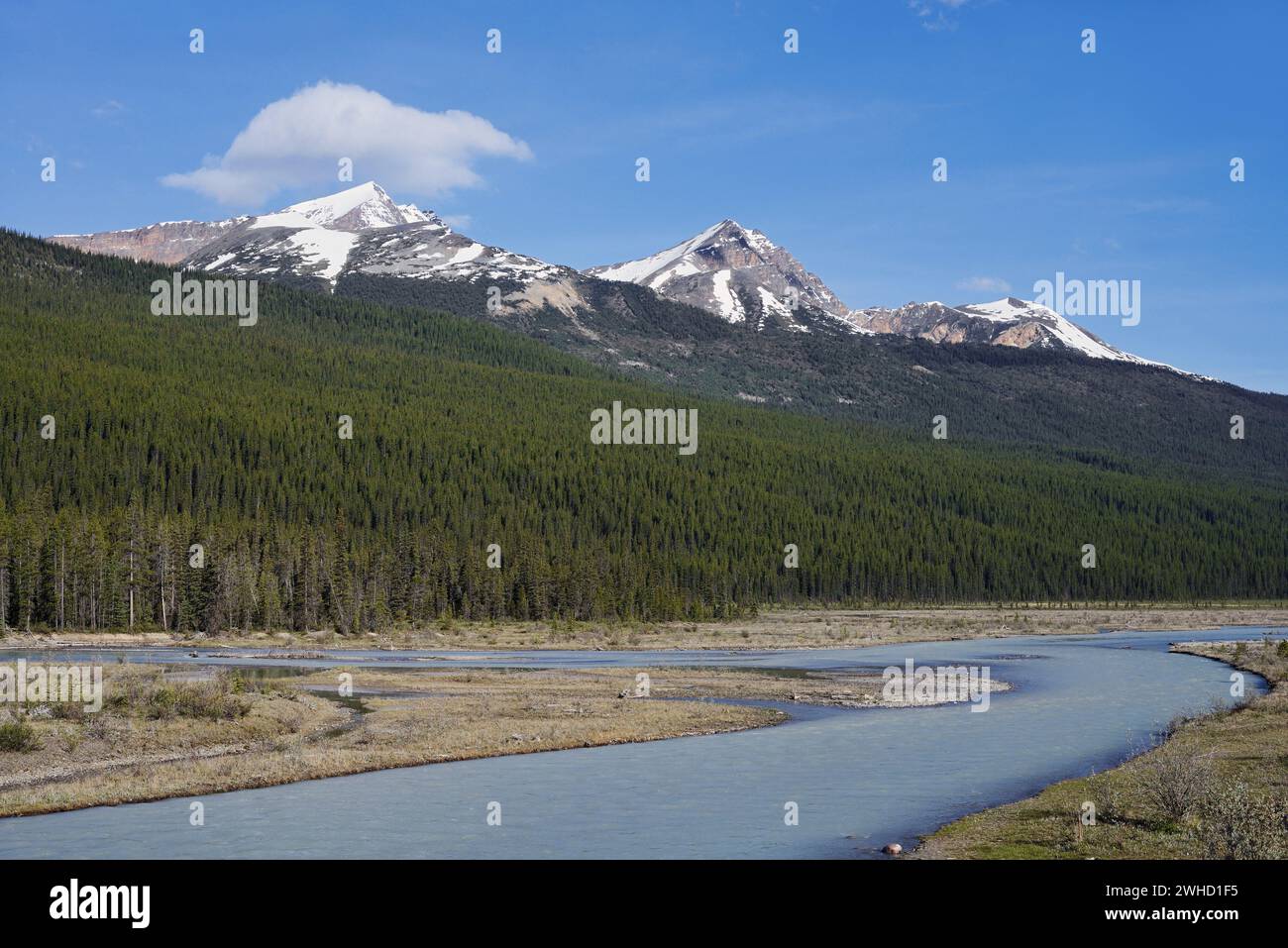 Sunwapta River, Icefields Parkway, Jasper National Park, Alberta, Kanada Stockfoto