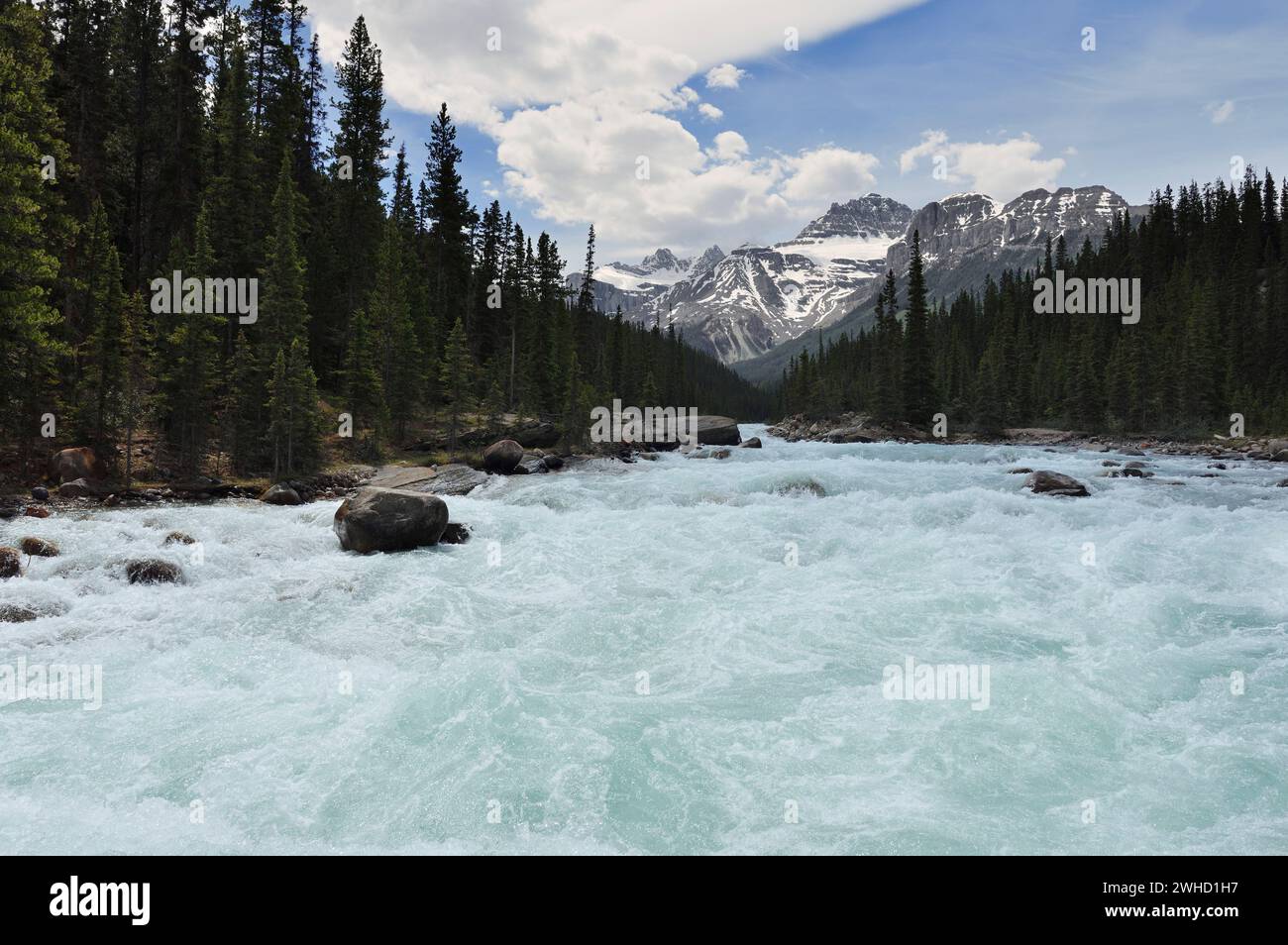 Mistaya River, Icefields Parkway, Banff National Park, Alberta, Kanada Stockfoto