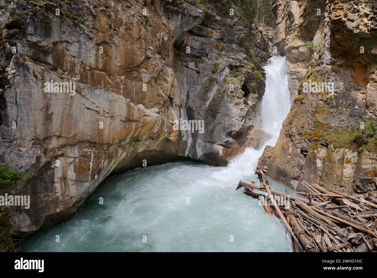 Wasserfall, Johnston Canyon, Johnston Creek, Banff National Park, Alberta, Kanada Stockfoto