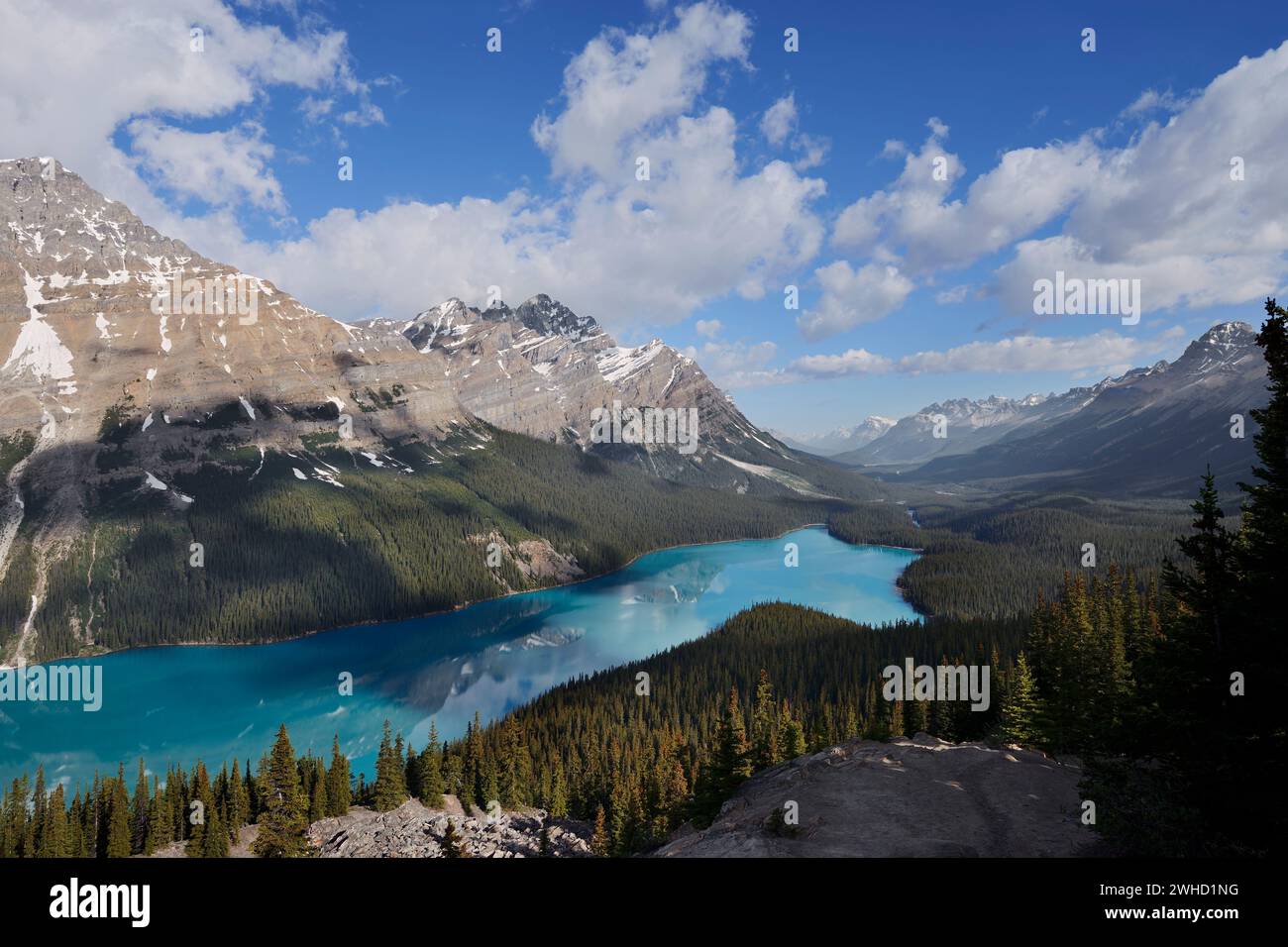 Glacier Lake Peyto Lake, Icefields Parkway, Banff National Park, Alberta, Kanada Stockfoto