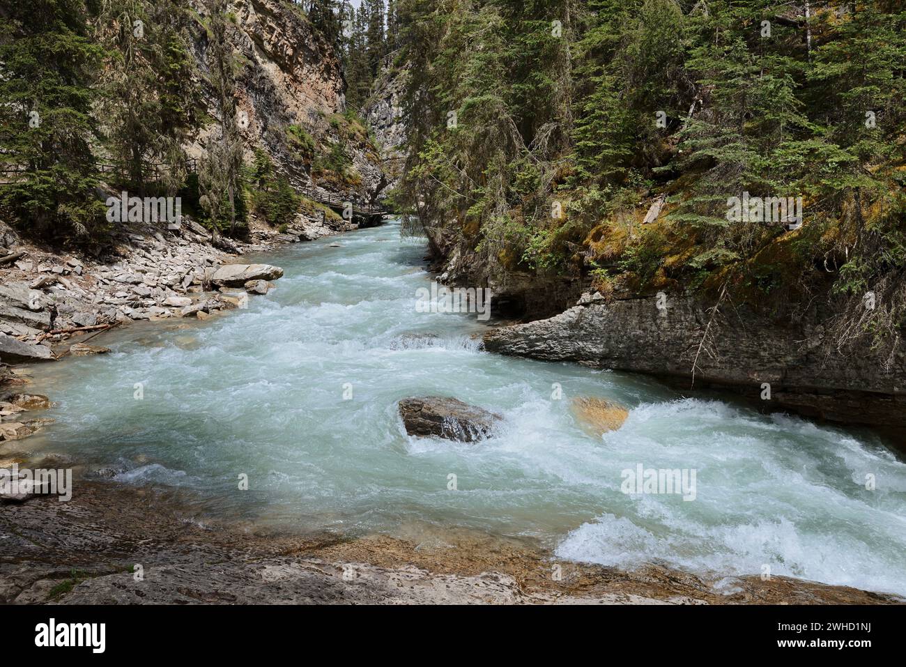 Johnston Canyon, Johnston Creek, Banff National Park, Alberta, Kanada Stockfoto