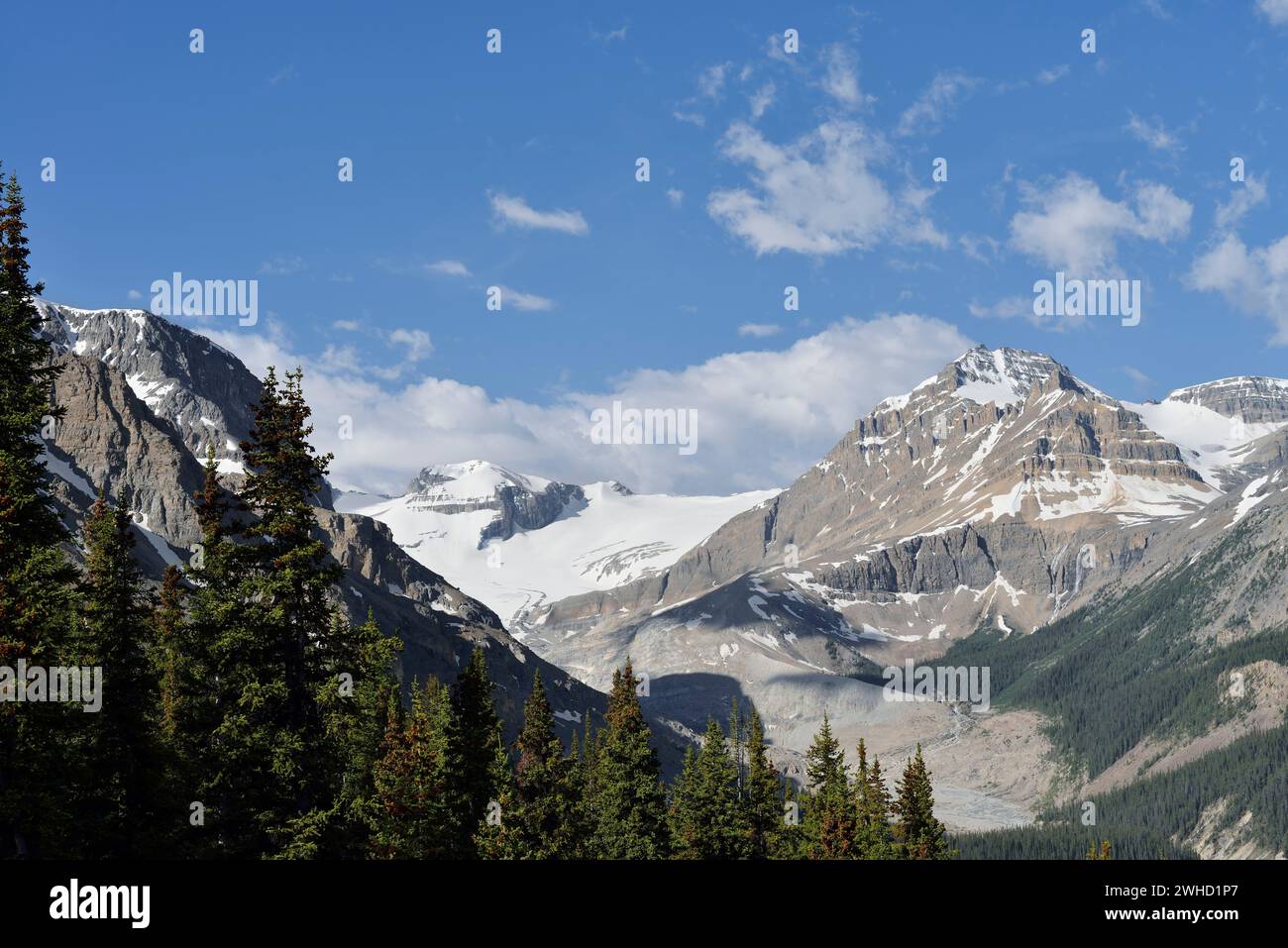 Berggipfel am Peyto Lake, Icefields Parkway, Banff National Park, Alberta, Kanada Stockfoto