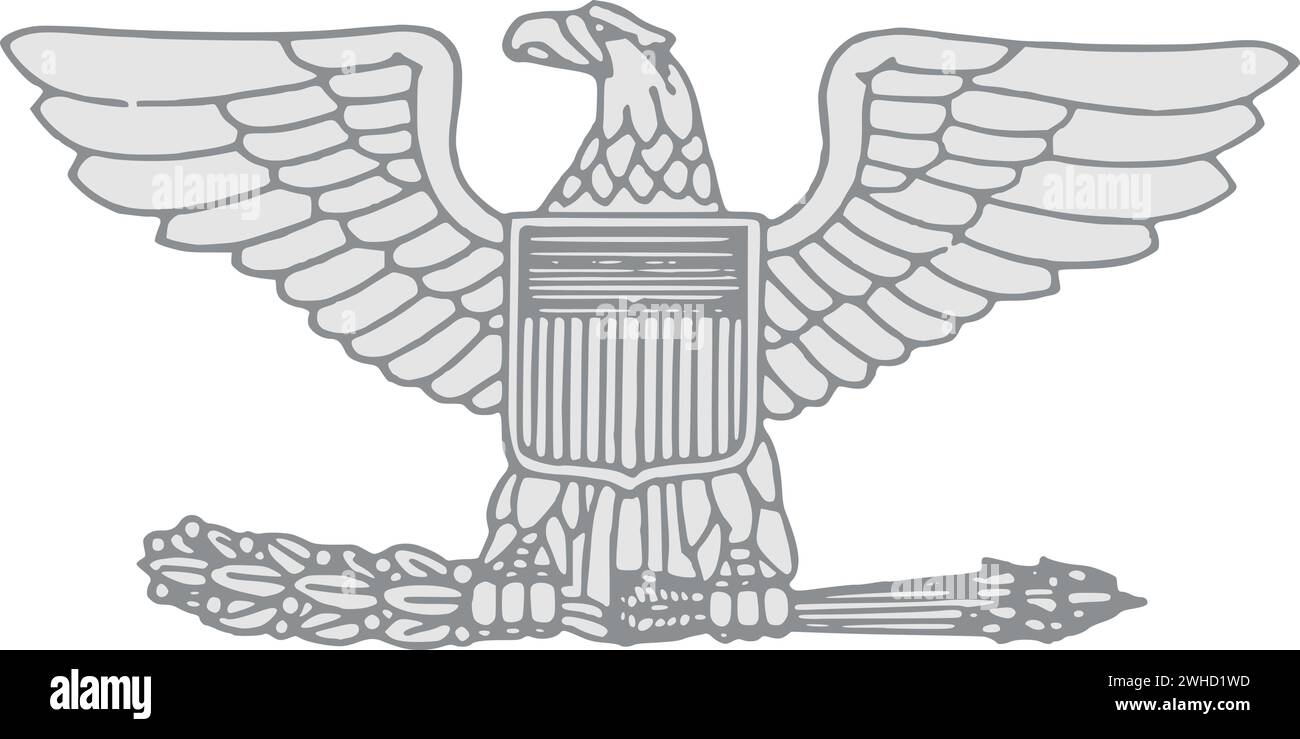 Schulterpolster Militäroffizierabzeichen des US-COLONEL Stock Vektor