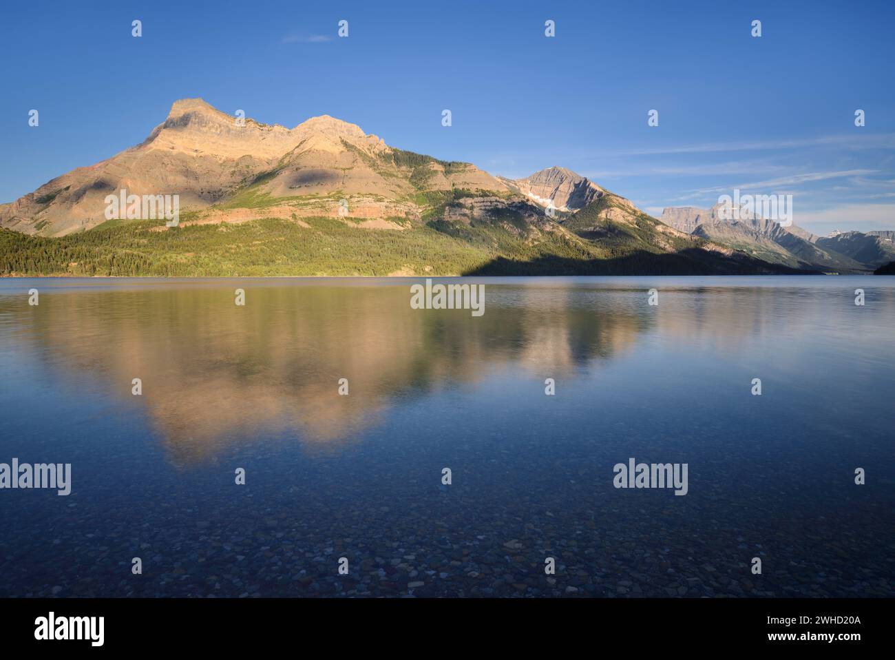 Upper Waterton Lake und Berge im Abendlicht, Waterton Lakes National Park, Alberta, Kanada Stockfoto