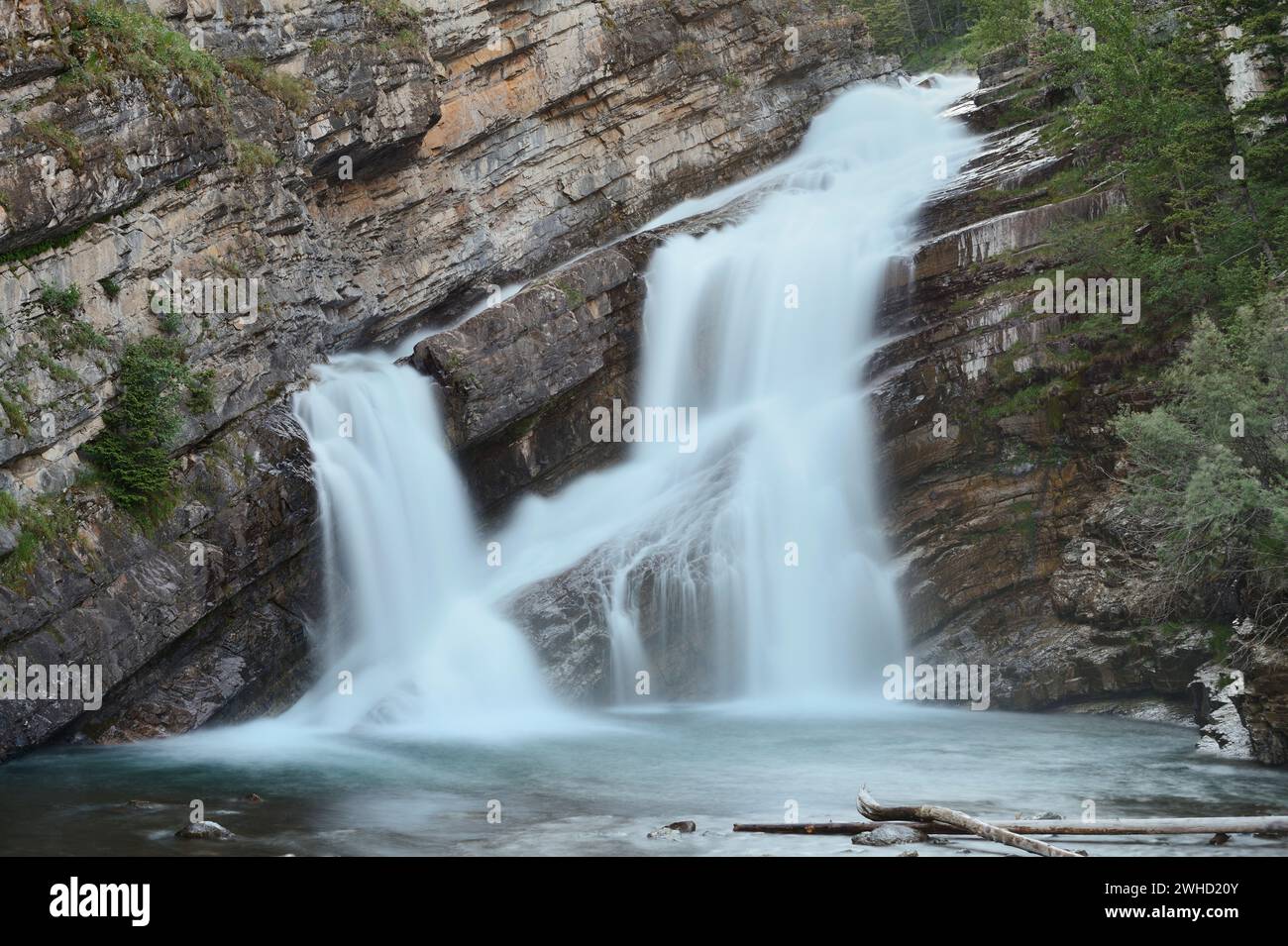 Cameron Falls Wasserfall, Waterton Lakes National Park, Alberta, Kanada Stockfoto
