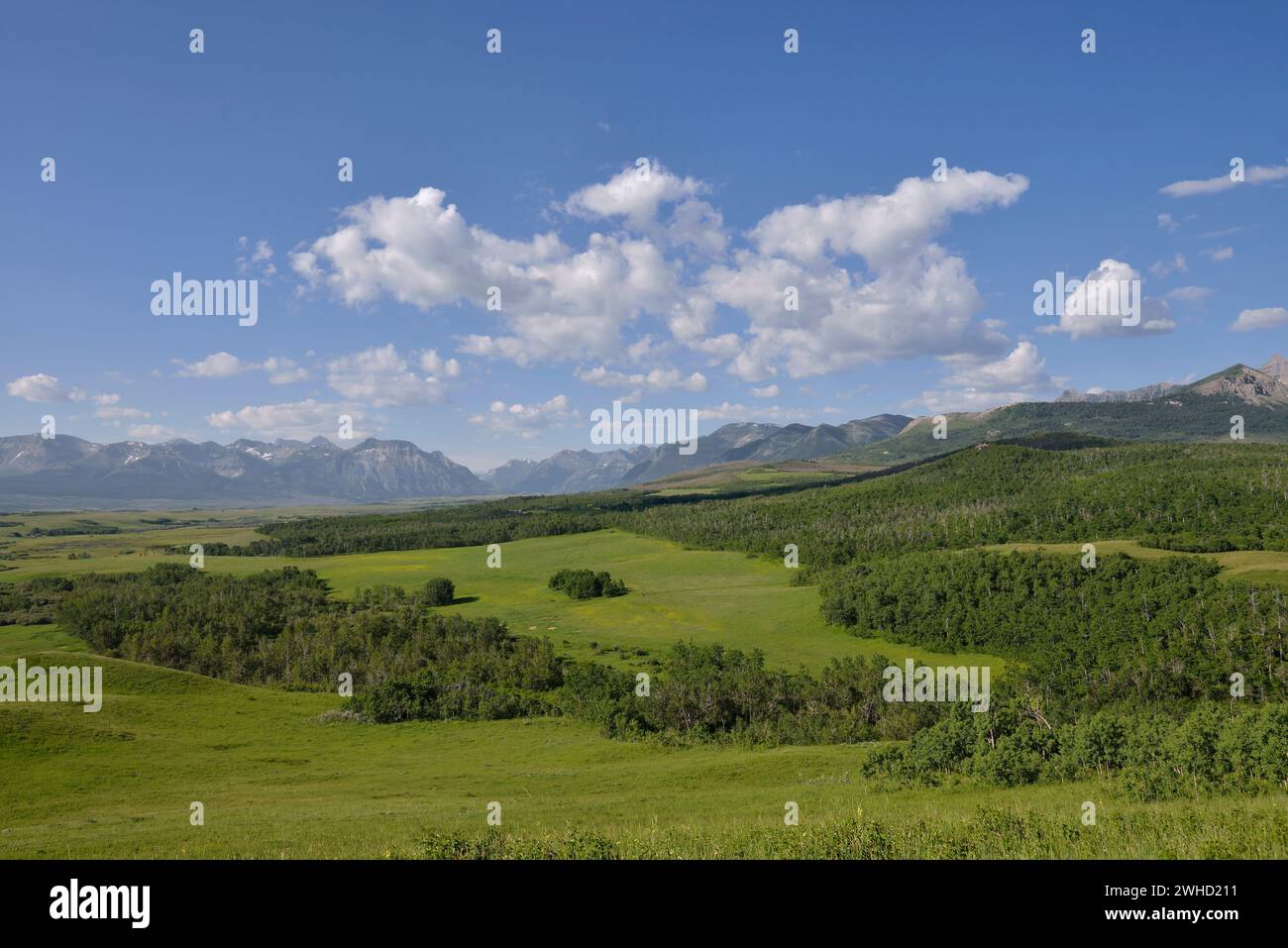 Prairie and Mountains, Waterton Park Front, Alberta, Kanada Stockfoto