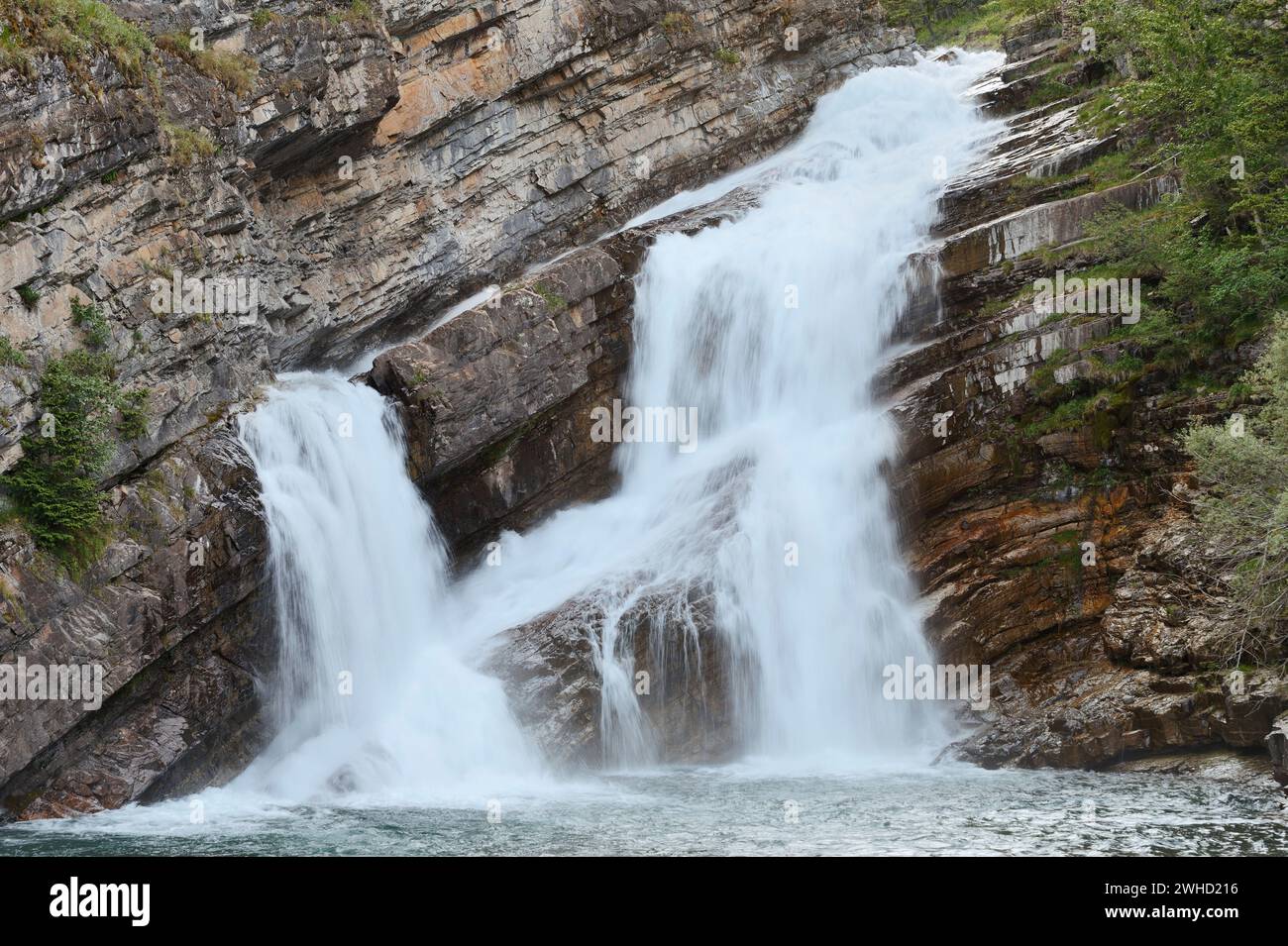 Cameron Falls Wasserfall, Waterton Lakes National Park, Alberta, Kanada Stockfoto