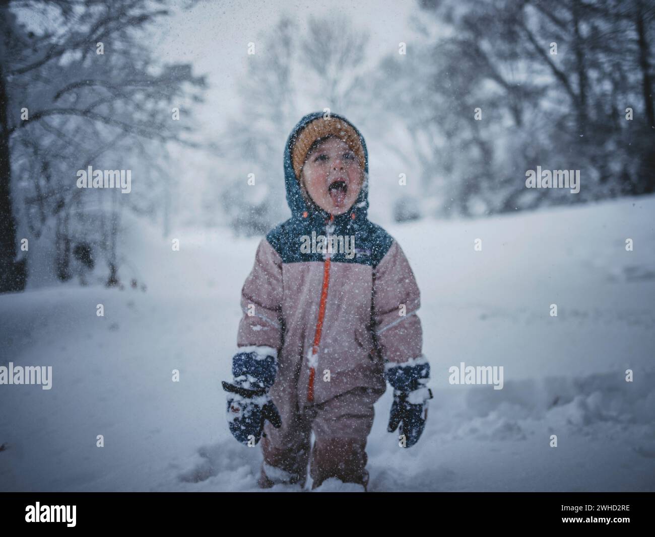 Kleines Mädchen, das mitten im Wald auf einer schneebedeckten Oberfläche spielt Stockfoto