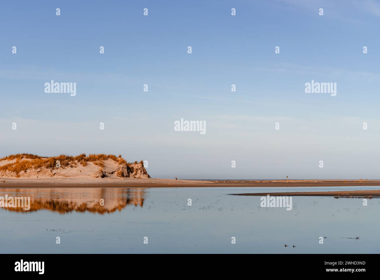 An einem ruhigen Tag spiegelt sich die Dünenlandschaft auf Norderney im Wasser wider Stockfoto