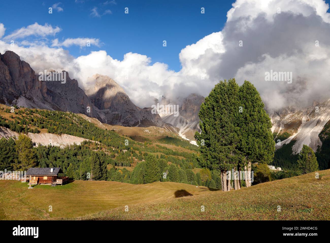 Blick von der Seceda Alm zur Scharte Gruppe (2495 m), zum Naturpark Puez-Geisler, Gröden, Provinz Bozen, Südtirol, Südtirol, Alpen, Dolomiten, Trentino-Südtirol, Italien, Italia Stockfoto