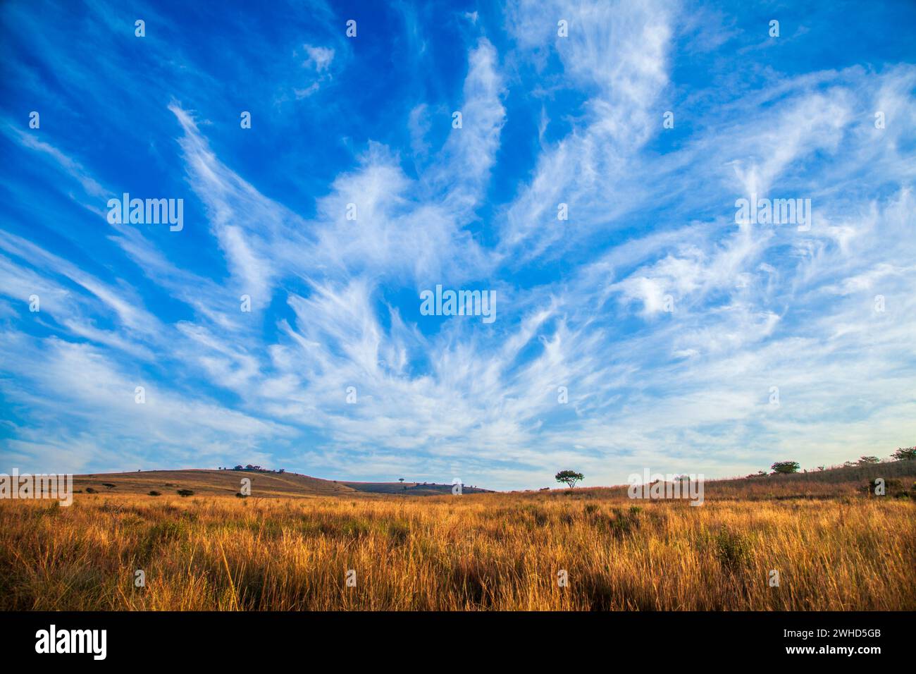 Afrika, Wolken, KwaZulu-Natal, Südafrika, malerische Landschaft, bush, tagsüber, Nationalpark, Natur, keine Leute, Outdoor, Safari, Tourismus, blauer Hintergrund, Schönheit in der Natur, Buschveld, stimmungsvoller Himmel, Savanna, Himmel, ruhige Szene Stockfoto