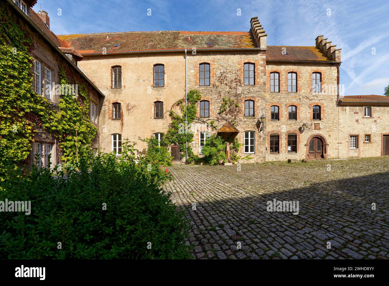 Schloss Saaleck bei der Weinstadt Hammelburg, Landkreis Bad Kissingen, Unterfranken, Franken, Bayern, Deutschland Stockfoto