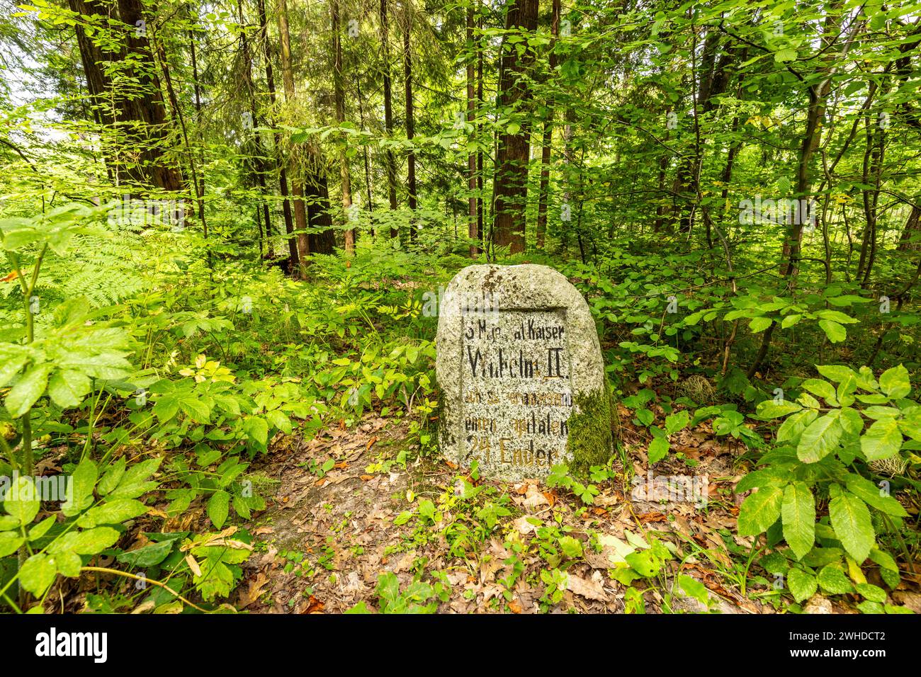 Europa, Polen, Woiwodschaft Ermland-Masuren, Puszcza Romincka, Romincka Wald, Wilhelm's Stones Stockfoto