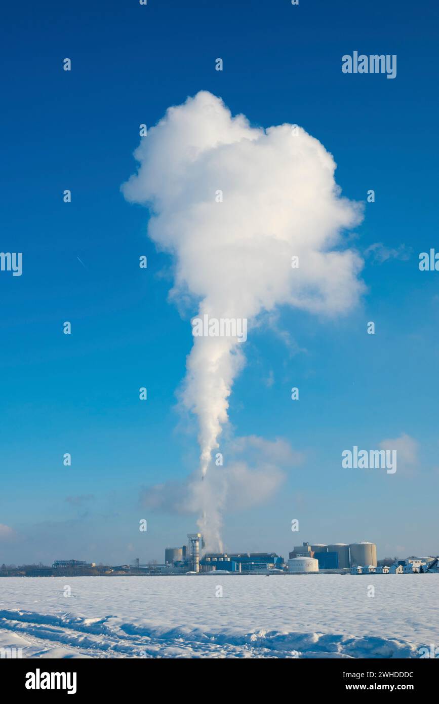 Rauchsäule oder Wasserdampf aus der Südzuckerfabrik bei Minusgraden in Plattling, Bayern, Deutschland Stockfoto