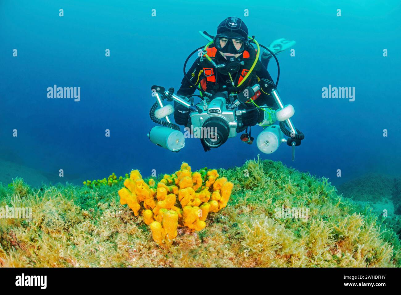 Unterwasserfotograf auf einem Schwamm vor der Küste Kroatiens Stockfoto