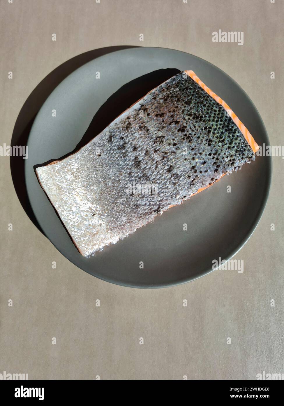 Ein Stück frischer Lachs liegt isoliert mit der silbernen Haut auf einer grauen Platte Stockfoto
