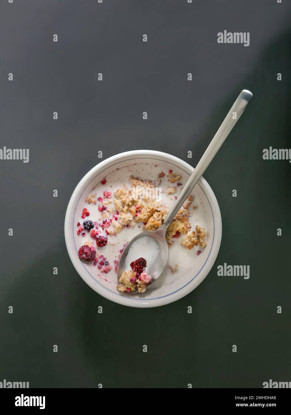 Müsli mit Milch in einer Schüssel zum Frühstück, Fruchtmüsli mit Körnern und Obst wie Waldbeeren und Löffel Stockfoto