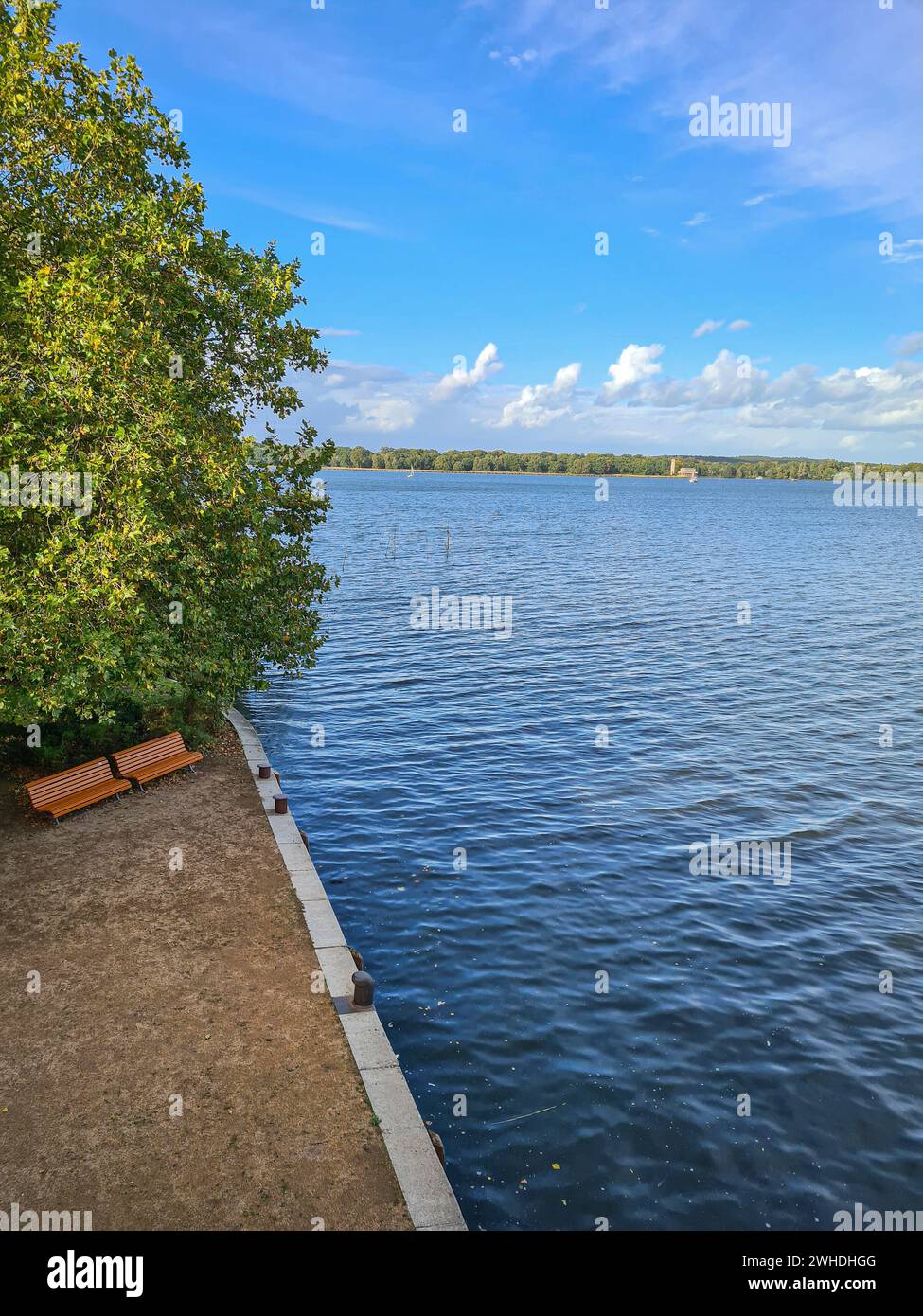 Entspannen Sie am nahe gelegenen See und Wasser mit Blick von oben auf Parkbänken unter einem Baum im Herbst Stockfoto