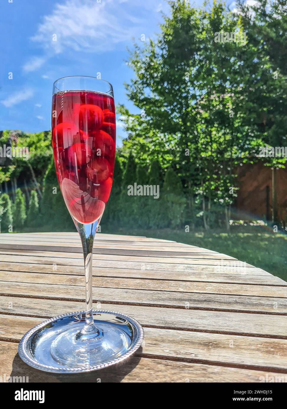 Sektglas mit Kirschen und Sekt als alkoholische Erfrischung im Garten am Ende des Tages Stockfoto