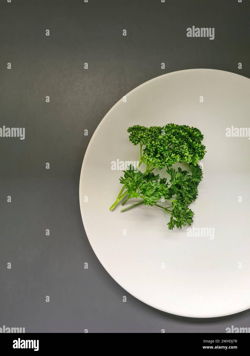 Nur ein weißer Teller mit grüner gelockter Petersilie auf grauem Hintergrund Stockfoto