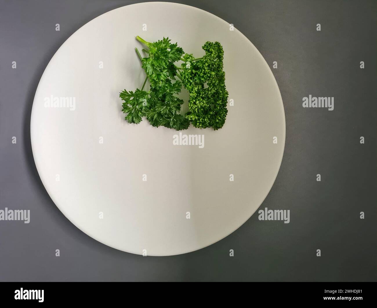 Nur ein weißer Teller mit grüner gelockter Petersilie auf grauem Hintergrund Stockfoto