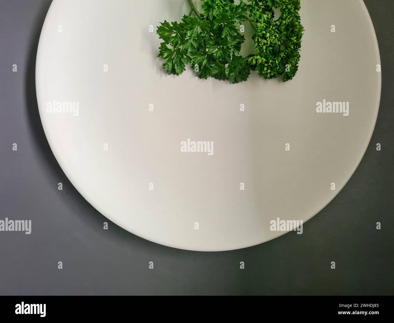 Nur ein weißer Teller mit grüner gelockter Petersilie auf grauem Hintergrund Stockfoto