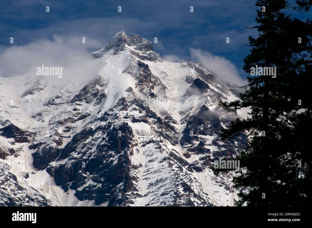 Mt Jefferson, Willamette National Forest, Oregon Stockfoto