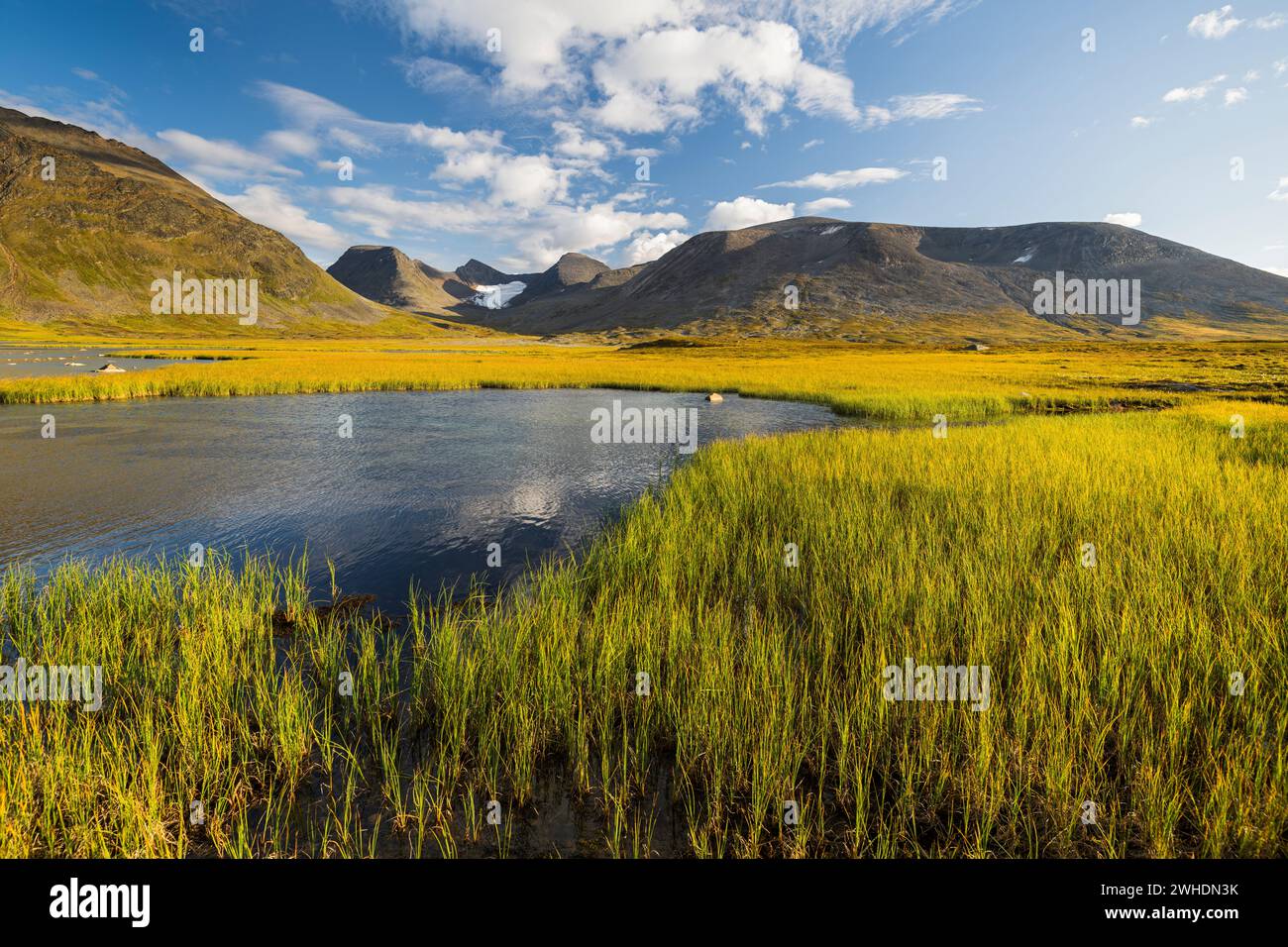 Skarki-Massiv, Bierikjaure, Sarek-Nationalpark, Lappland, Schweden, Europa Stockfoto