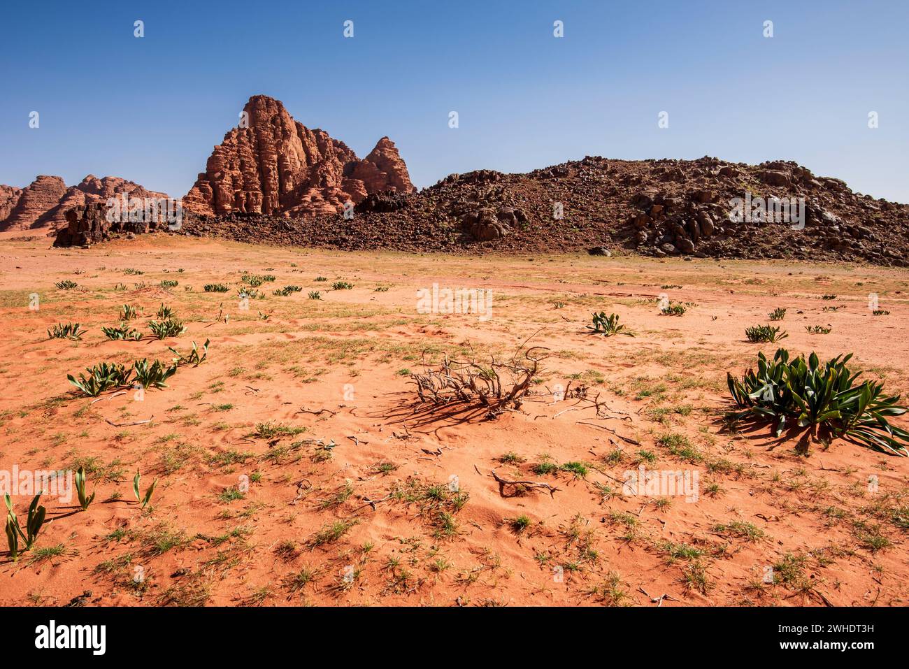 Wüstenlandschaft in Wadi Rum, Jordanien Stockfoto