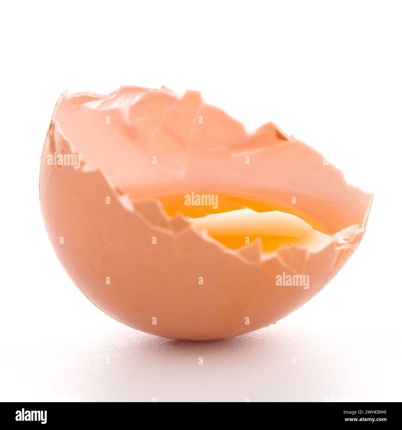 Rohes Ei isoliert auf weißem Stockfoto