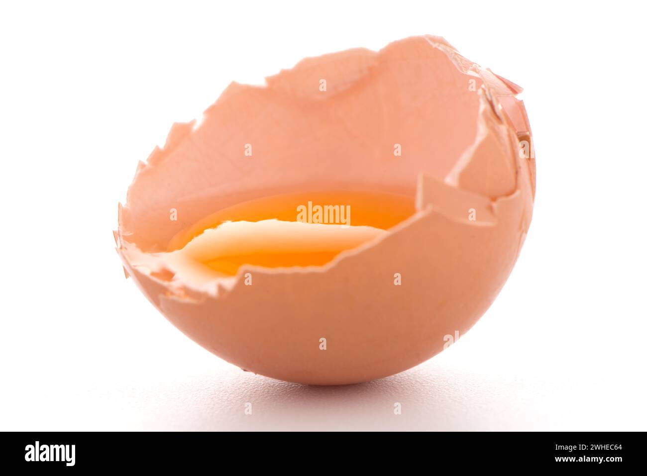 Rohes Ei isoliert auf weißem Stockfoto
