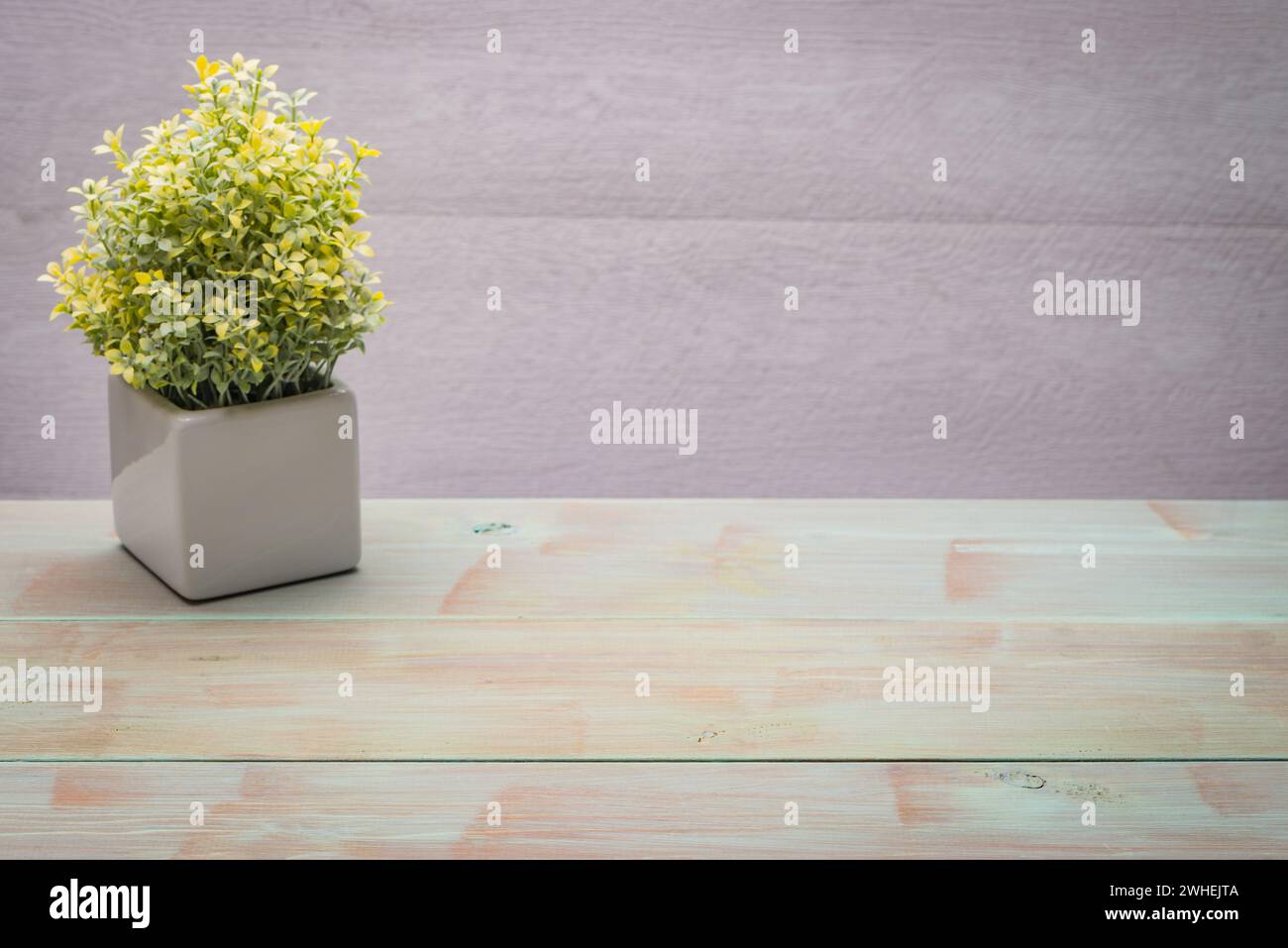 Kleine dekorative Pflanze auf einem Holztisch Stockfoto