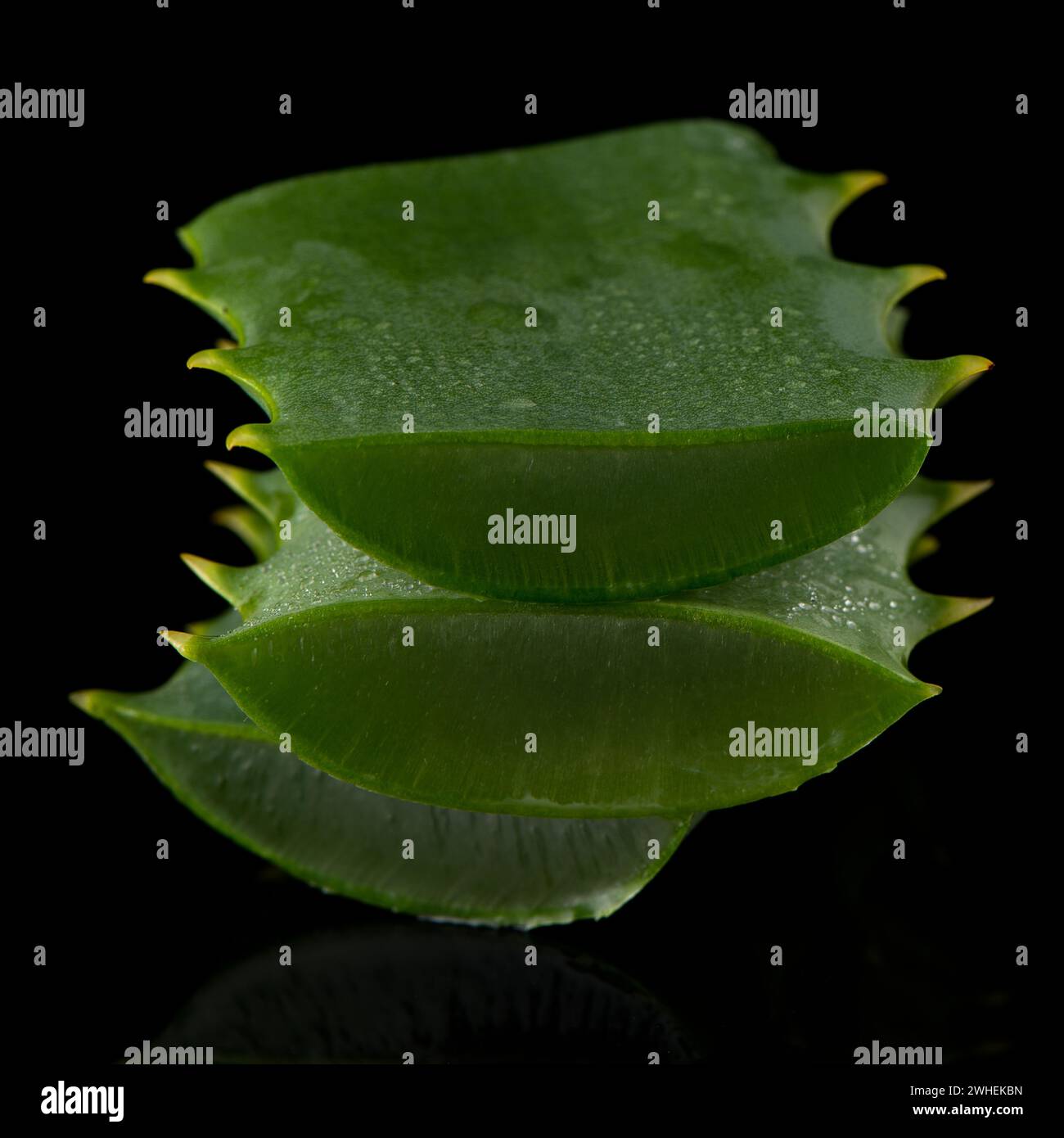 In Scheiben geschnitten Aloe Blatt Stockfoto