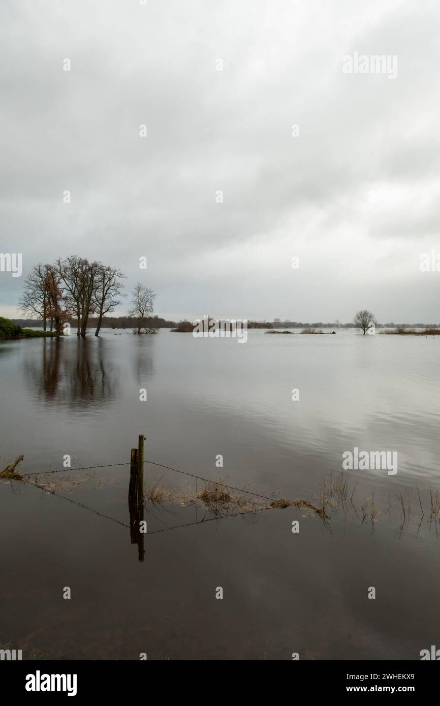 '03.01.2024, Deutschland, Bremen, Bremen - überflutete Landschaft (Polder) bei Hochwasser an der Wuemme, vor dem Deich, Blick nach Niedersachsen. 00A24 Stockfoto