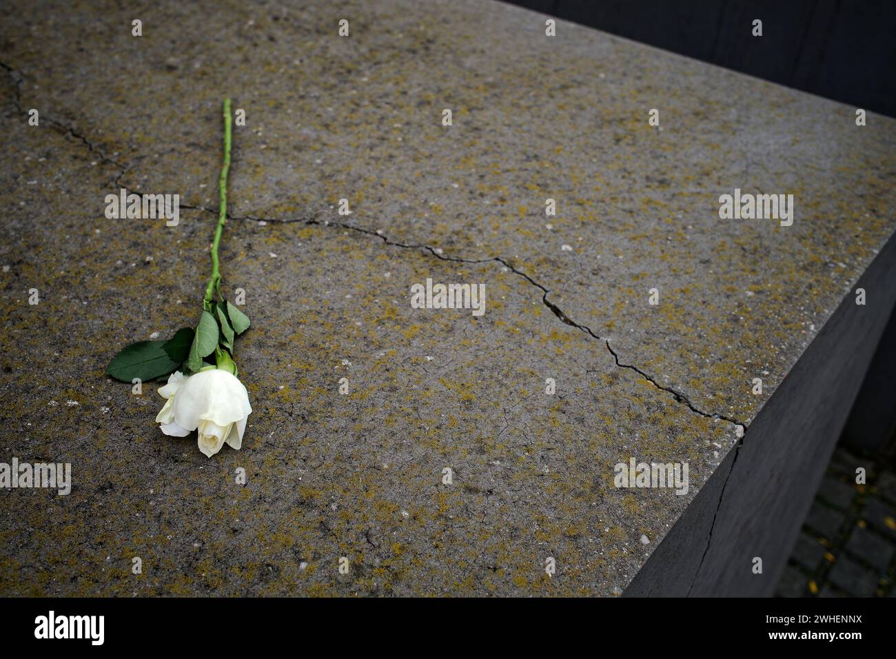 '09.11.2023, Deutschland, Berlin, Berlin - Gedenkstätte für die ermordeten Juden Europas. Die Gedenkstätte ist eine Gedenkstätte, die den Opfern des Holocaust gewidmet ist. Stockfoto