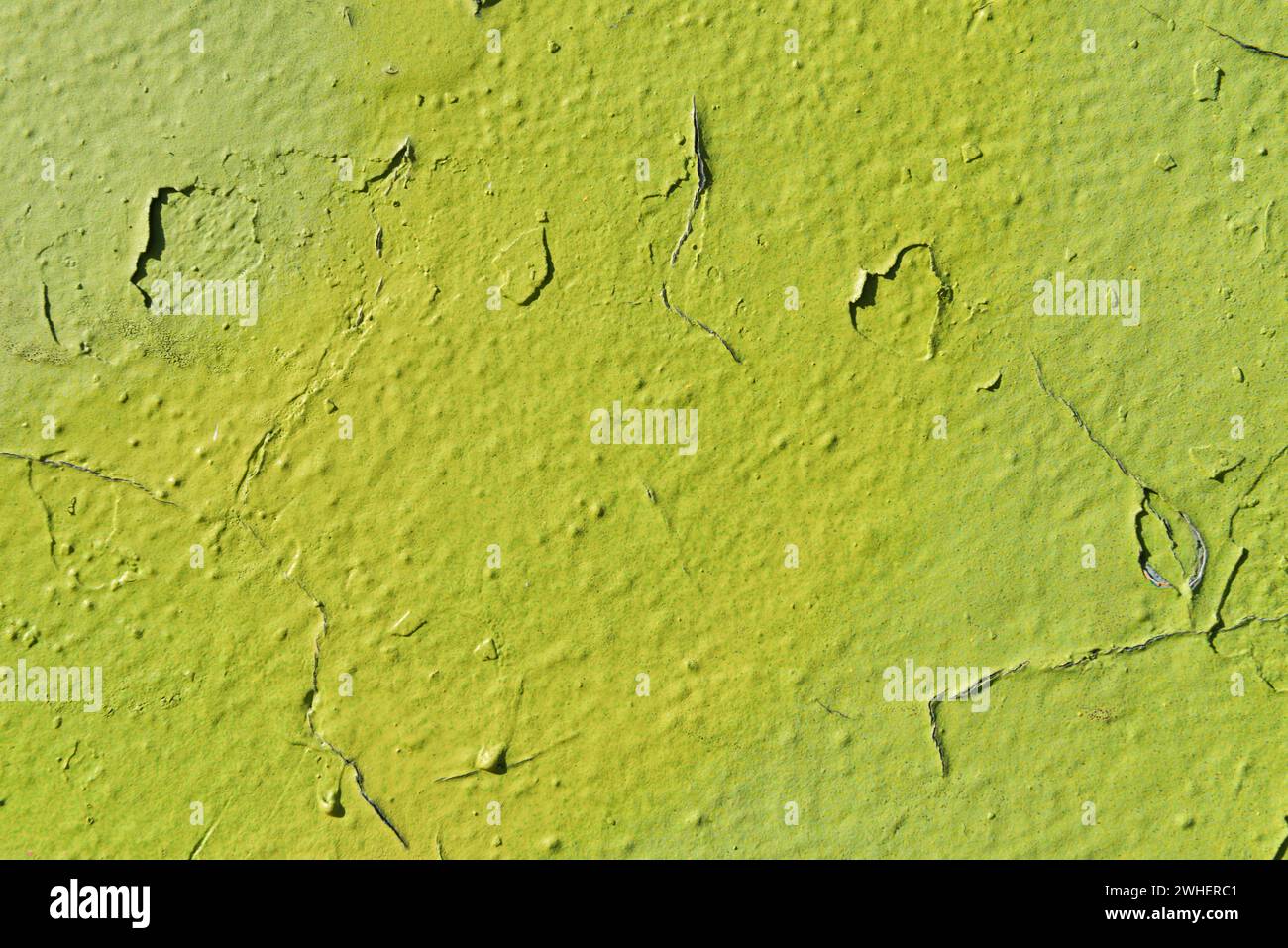 Farbenfrohe bemalte Wand Stockfoto