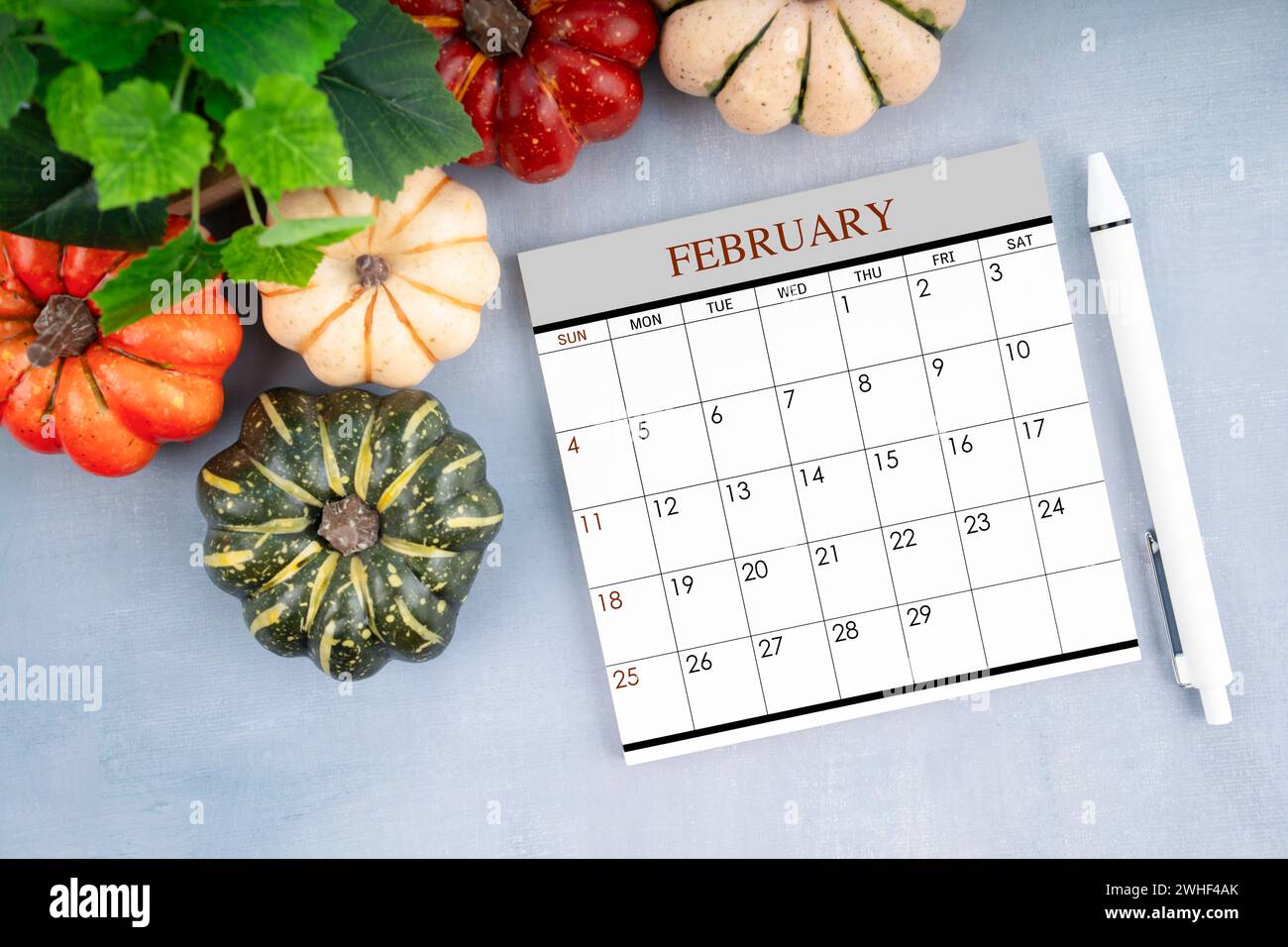 Monatskalender 2024. Februar und Stift mit Kürbis auf dem Tisch. Stockfoto
