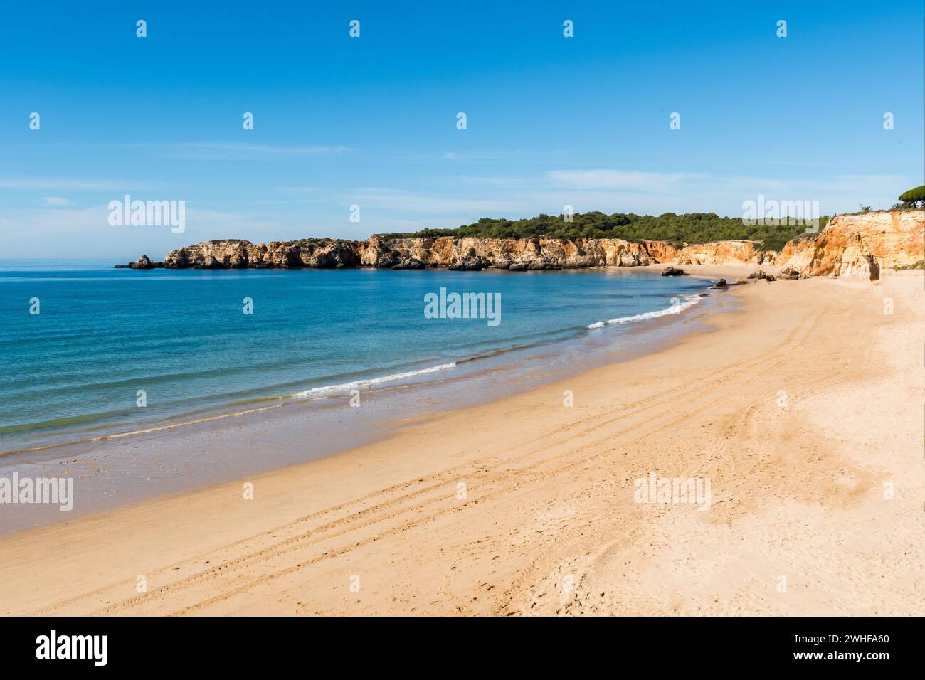 Praia da Rocha in Portimao, Algarve Stockfoto