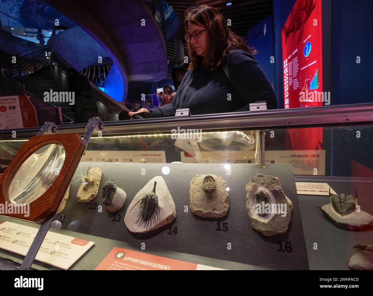 Vancouver, Freitag. September 2024. Fossilien von Wassertieren aus der Devon-Zeit sind während der Ausstellung Monsters of the Abyss im Vancouver Aquarium in Vancouver, British Columbia, Kanada, am 9. Februar 2024 zu sehen. Die neue Ausstellung des Vancouver Aquariums, „Monsters of the Abyss“, begann am Freitag und beleuchtet die Vergangenheit und Gegenwart von Wassertieren durch interaktive Ausstellungen, Live-Ausstellungen und Skelette wie Megalodon und Spinosaurus. Die Ausstellung dauert bis zum 2. September 2024. Quelle: Liang Sen/Xinhua/Alamy Live News Stockfoto