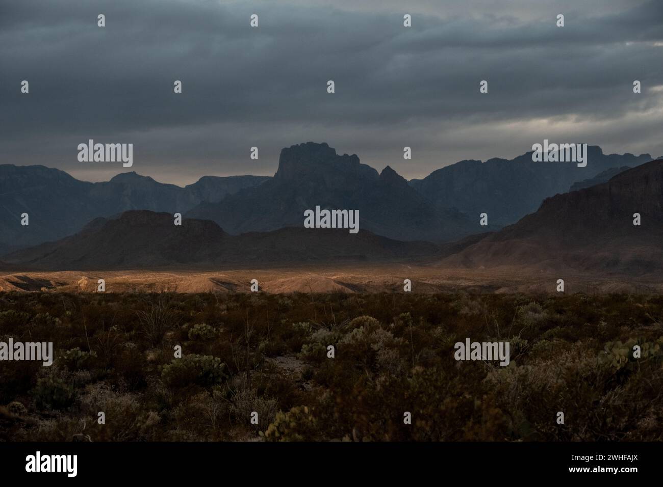 Die Sonne erfüllt das Tal mit den Chisos Mountains in Shadow in Big Bend Stockfoto