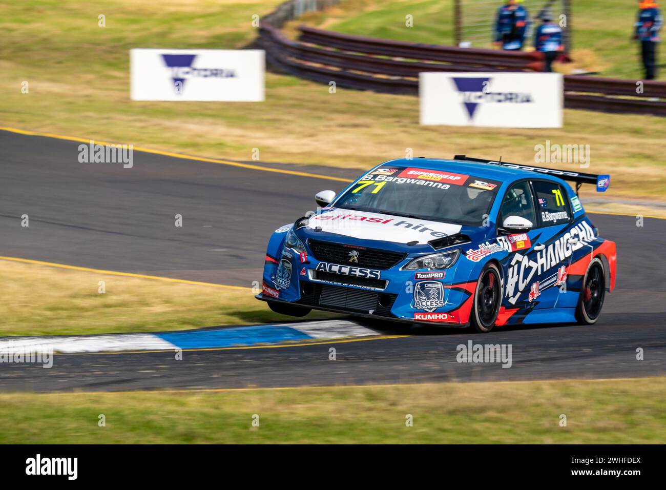 Sandown Park, Australien. Februar 2024. Ben Bargwant steht am Samstag beim Shannon’s Speed Series Race Sandown in der Qualifikation für die Supercheap Auto TCR Australia-Serie auf dem zweiten Turn. Credit: James Forrester/Alamy Live News Stockfoto