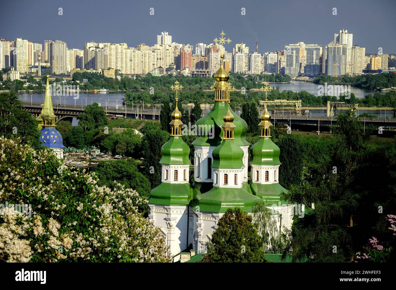 Botanischer Garten auf einem Hintergrund der Stadt Stockfoto