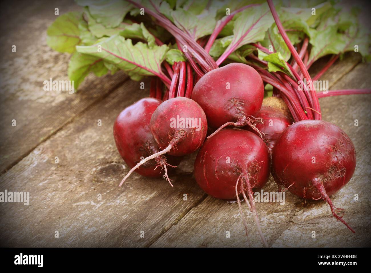 Frische rote Beete auf rustikalen Holzmöbeln Hintergrund. Ernte Gemüse kochen Konzeption. Diät- oder vegetarische Kost Konzept Stockfoto