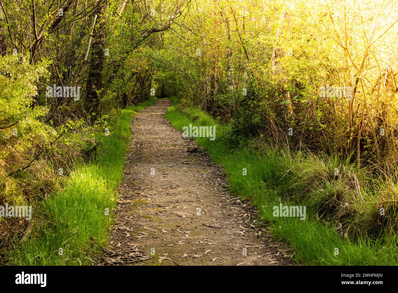 Schotterweg in Lagoas de Bertiandos Stockfoto