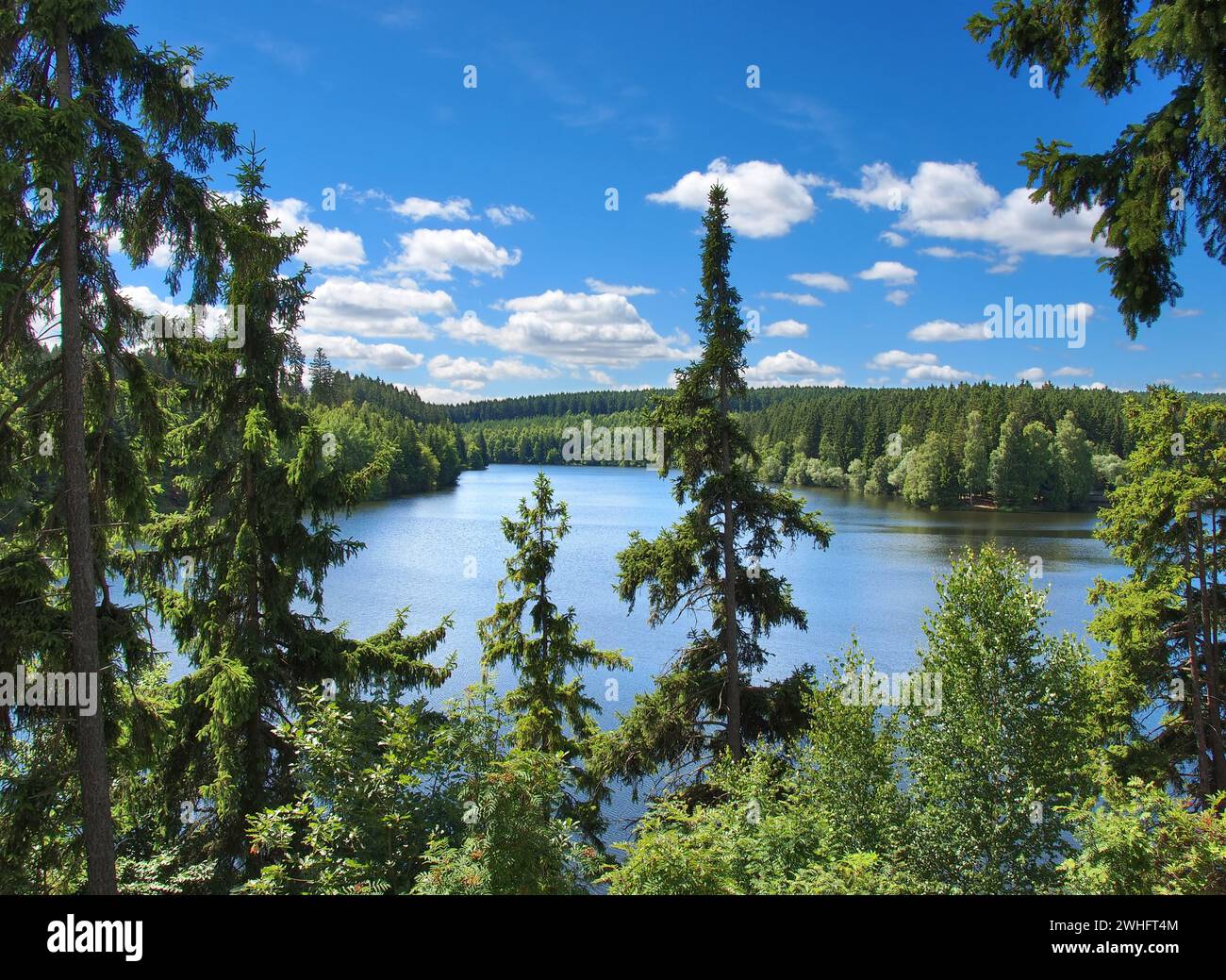 Stausee im Nationalpark Harz Stockfoto