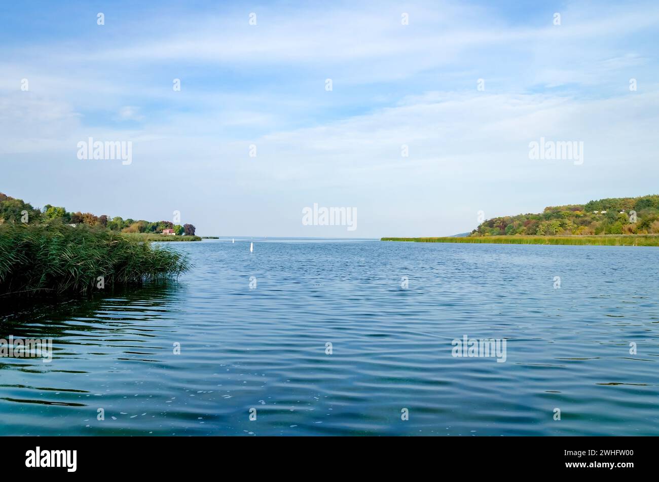 Wasseroberfläche in einem Teich Stockfoto