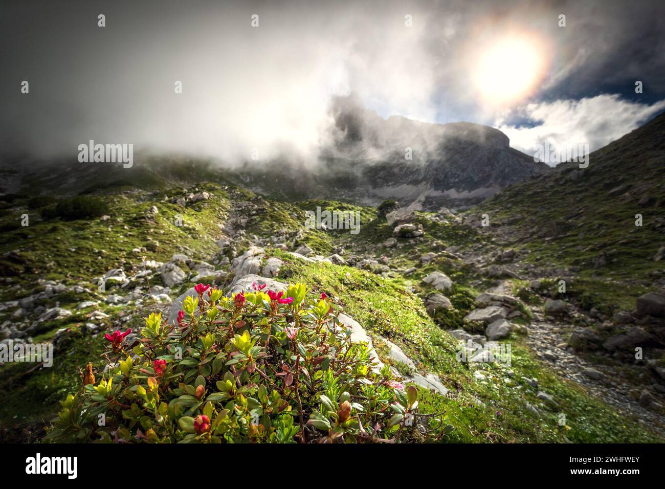 Sonnenlicht durch dichten Nebel hoch in den Bergen Stockfoto