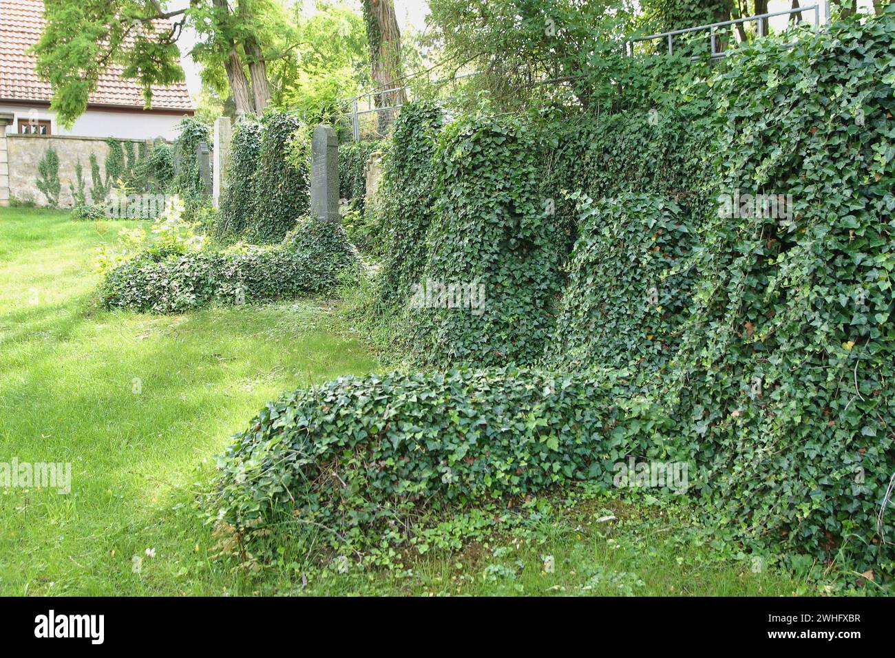 Jüdischer Friedhof Aub Stockfoto