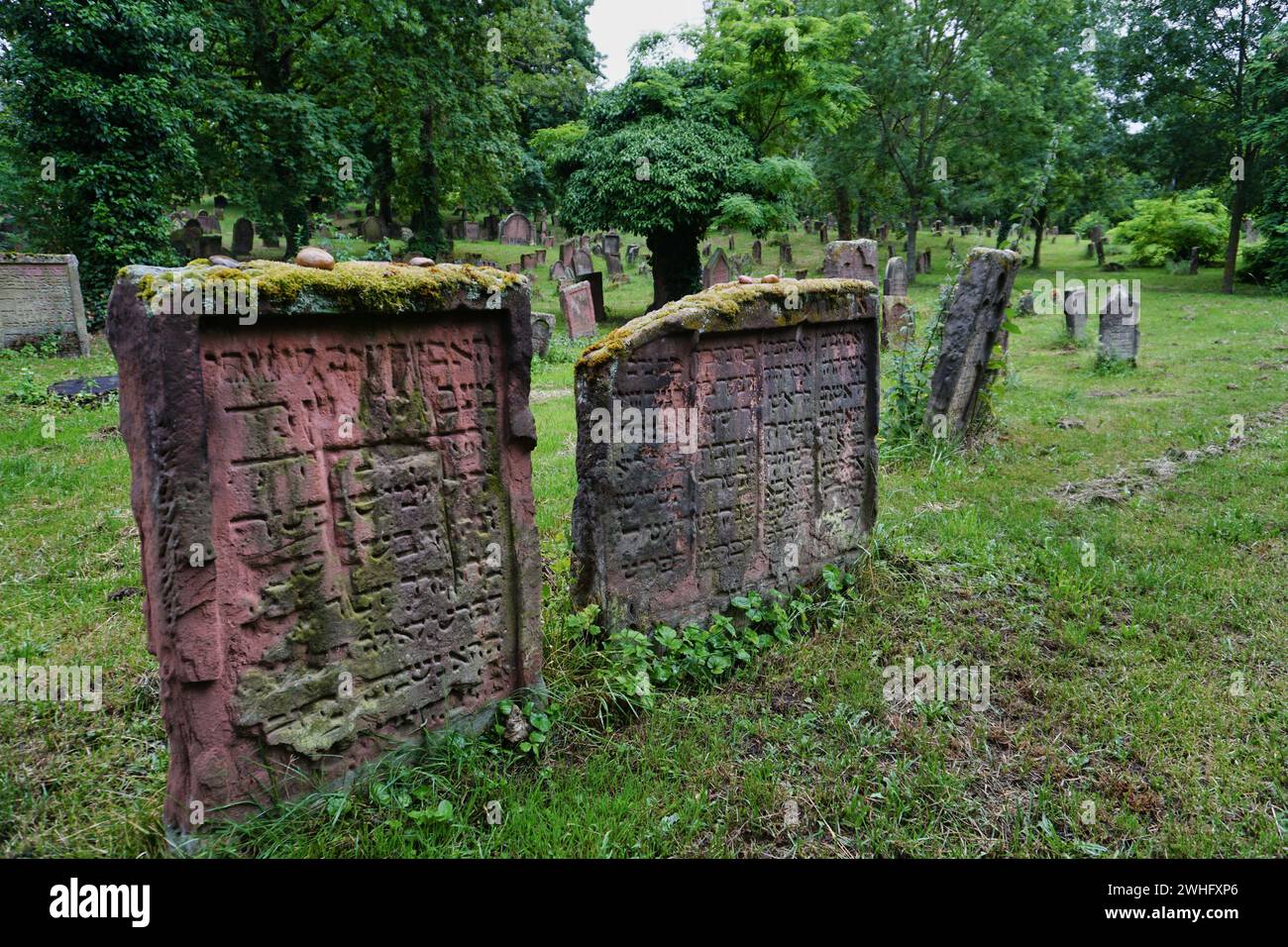 Jüdischer Friedhof Worms Stockfoto